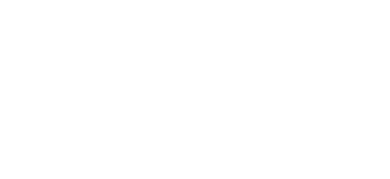 ایولوشن گیمنگ logo